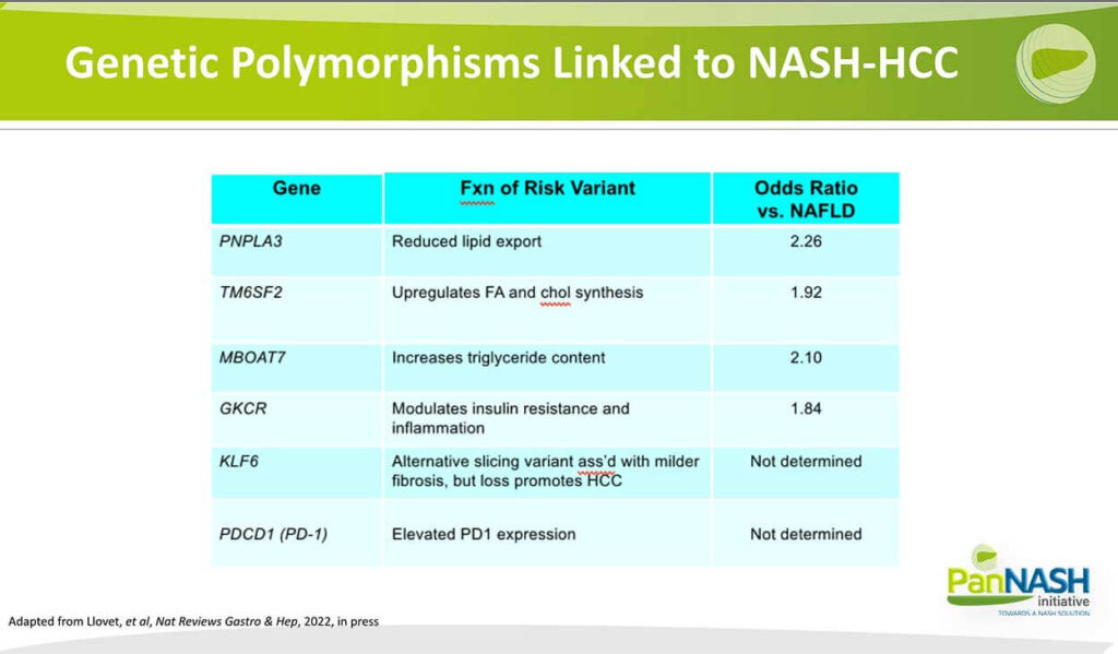 Genetic Polymorphisms Linked To NASH-HCC