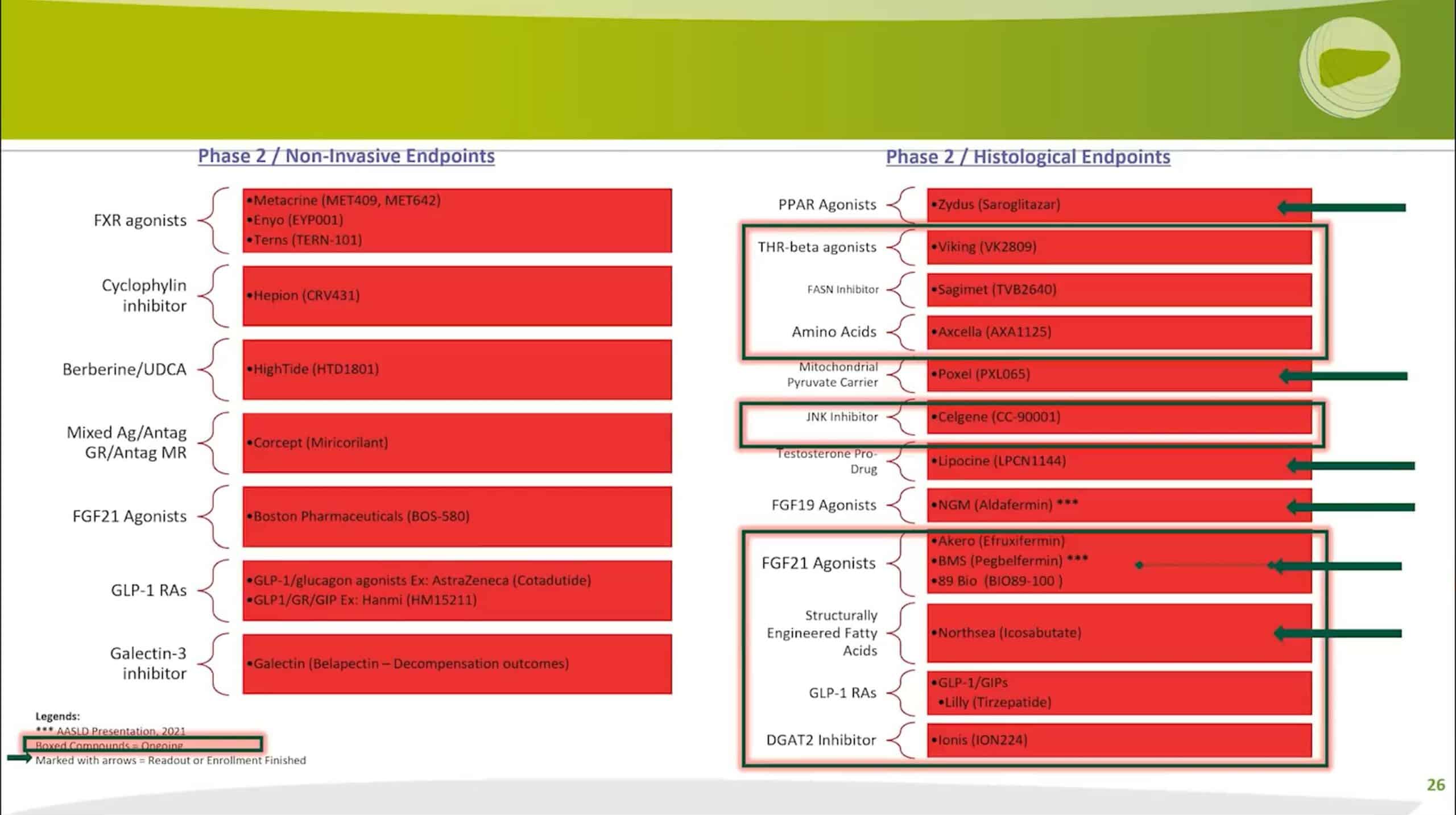 Nash Drugs in Phase 2