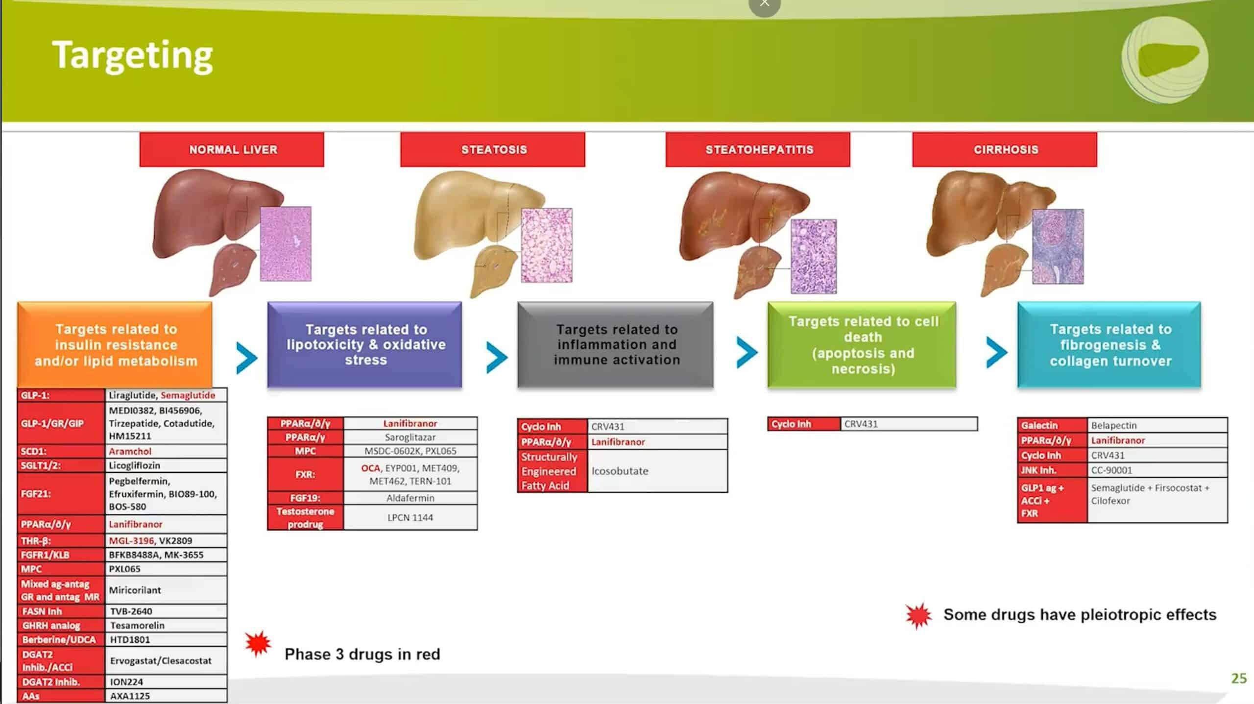 NASH Treatment: Review Of Current And Future Therapies For Non ...