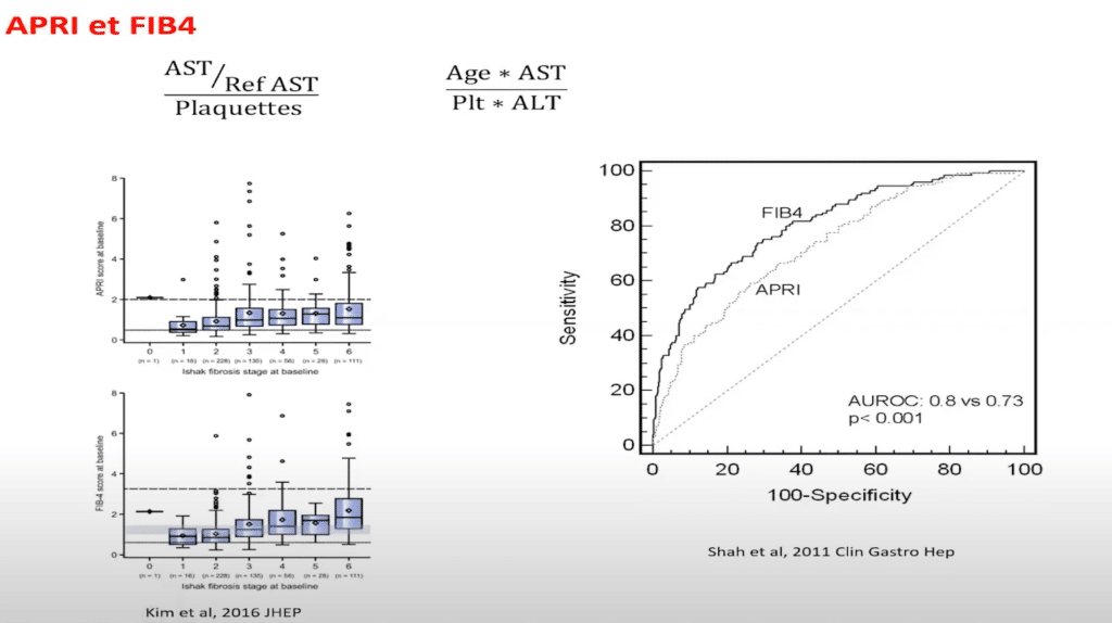 APRI and FIB-4: Accessible Scoring Systems in Hepatic Fibrosis