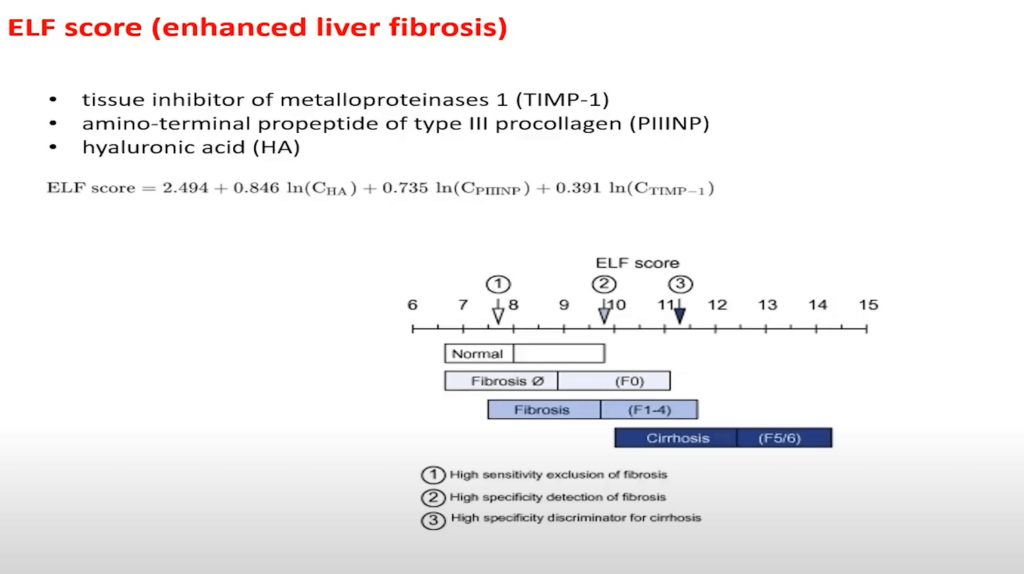 Comprehensive Insight into the ELF Score and its Clinical Implications