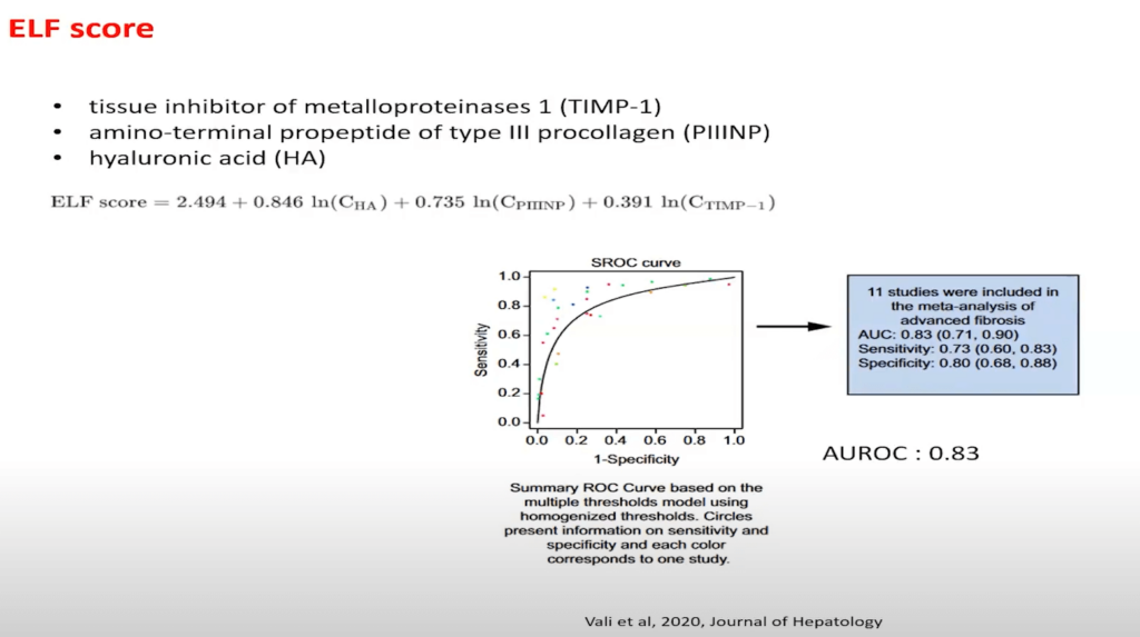 Comprehensive Insight into the ELF Score and its Clinical Implications